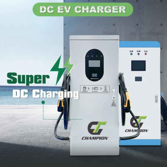 Electric Car DC Fast Charger 30kw 40kw 60kw Double Guns Floor