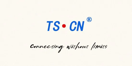 Factory Custom VW Automotive Wire Harness Cable 