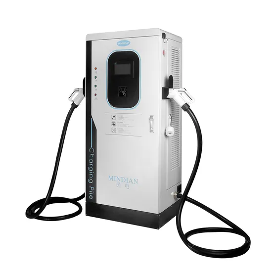 Electric Car DC Fast Charger 30kw 40kw 60kw Double Guns Floor