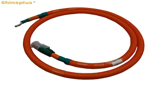 Customized Automotive Wiring Harness, Internal and Eexternal Connection Harness 