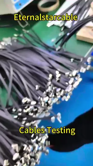 Flexible Flat FPC Cable for Fast USB 3.1 Type C OEM USB 3.1 Type C Flex Cable for Efficient Charging and Data 